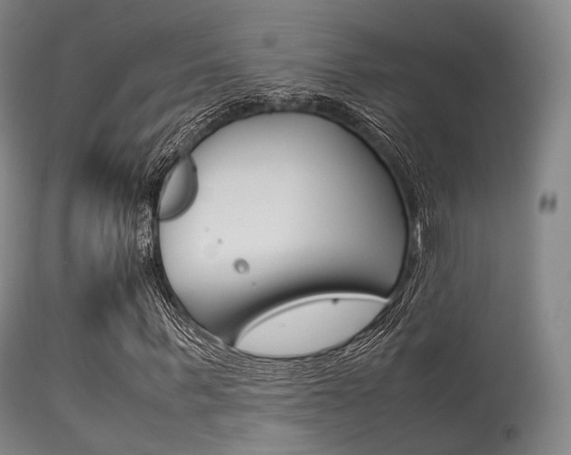X0000113540963200909181020