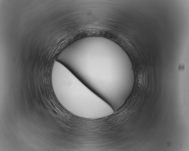X0000113540964200909181020