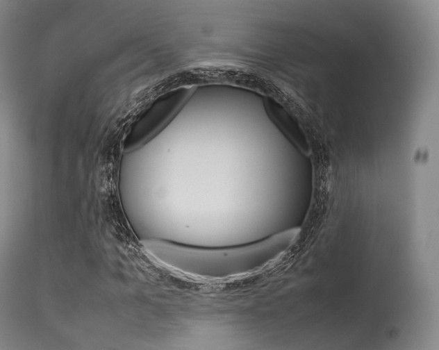 X0000113540965200909181020