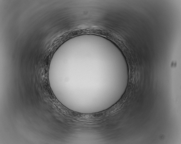 X0000113540966200909181019