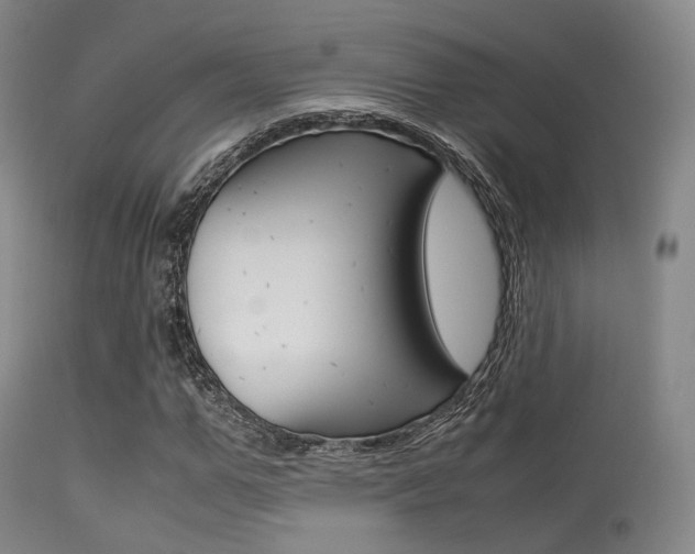 X0000113540967200909181019