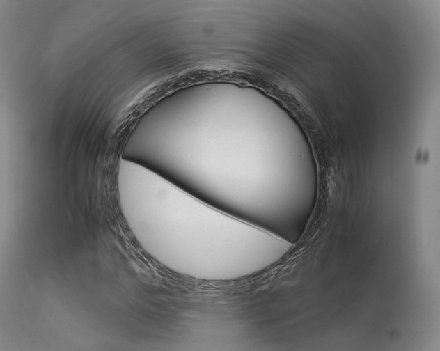 X0000113540968200909181019
