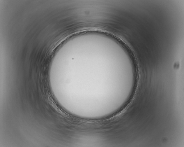 X0000113540969200909181019