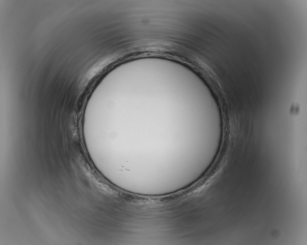 X0000113540970200909181019