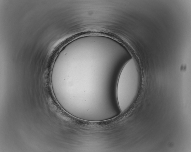 X0000113540971200909181019