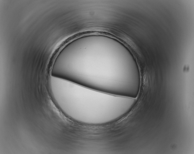 X0000113540972200909181019