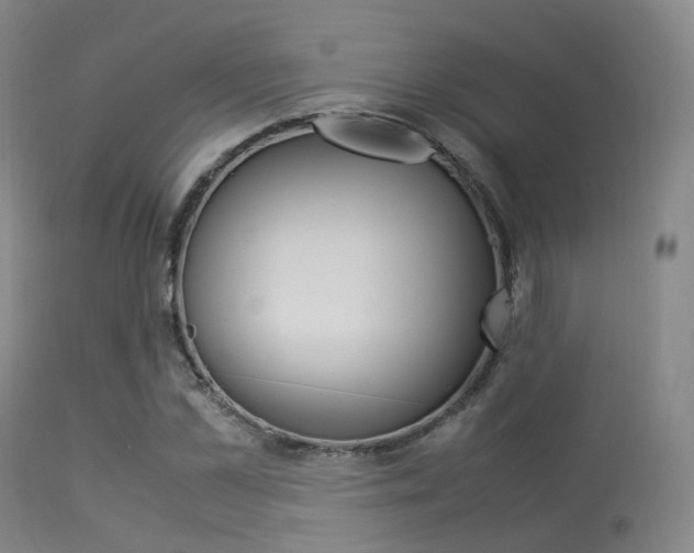 X0000113540973200909181019
