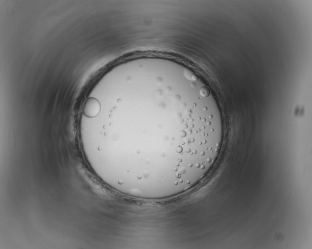 X0000113540974200909181019