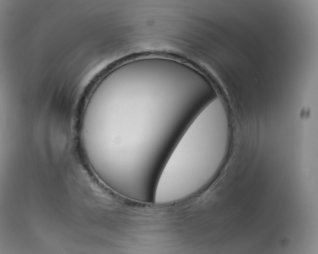 X0000113540975200909181019