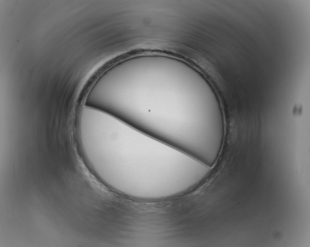 X0000113540976200909181019