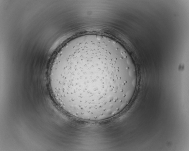 X0000113540978200909181019