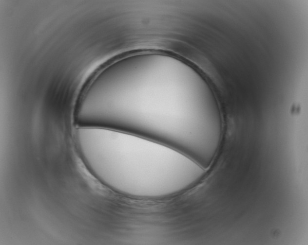 X0000113540980200909181019
