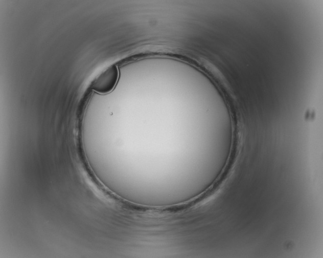 X0000113540981200909181019