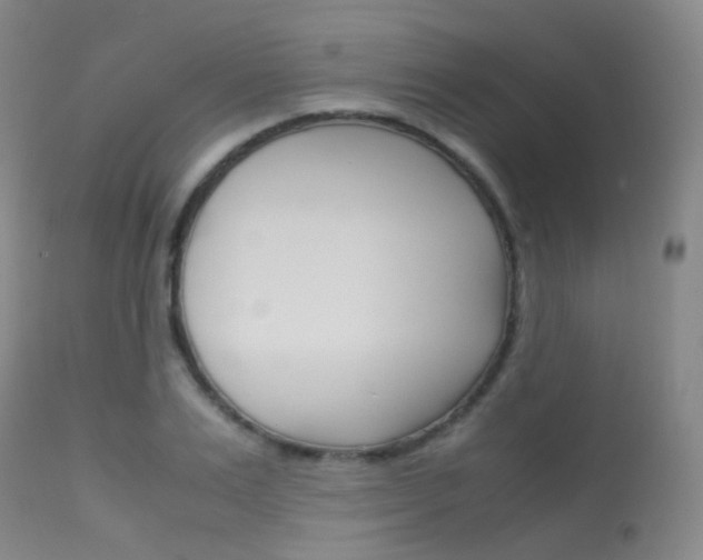 X0000113540983200909181019