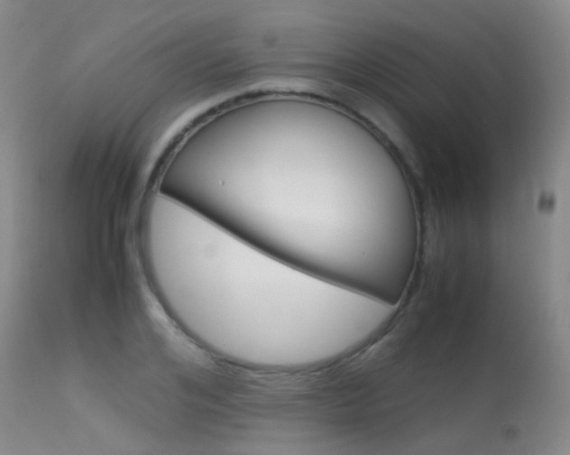 X0000113540984200909181019