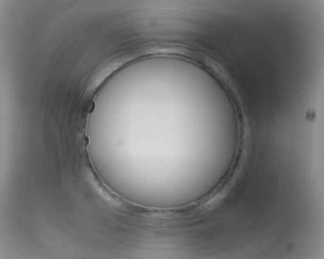X0000113540985200909181019