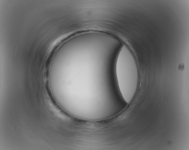 X0000113540987200909181019