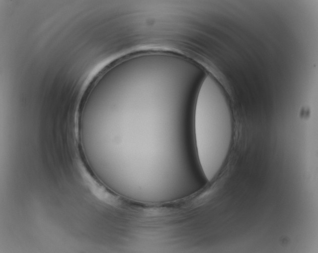 X0000113540988200909181019