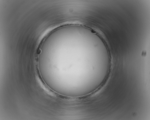 X0000113540989200909181019