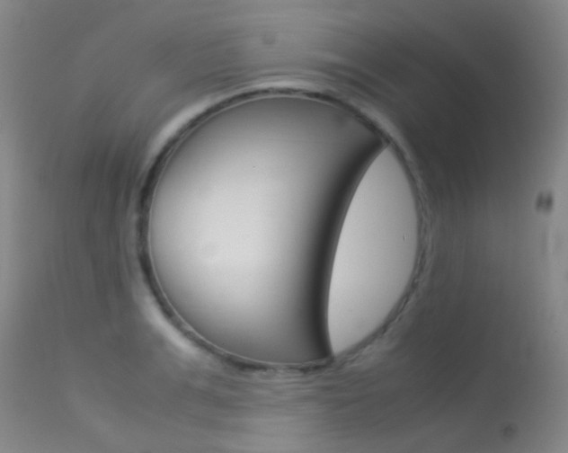 X0000113540991200909181019