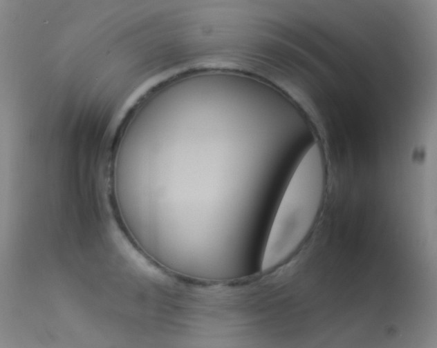 X0000113540992200909181019