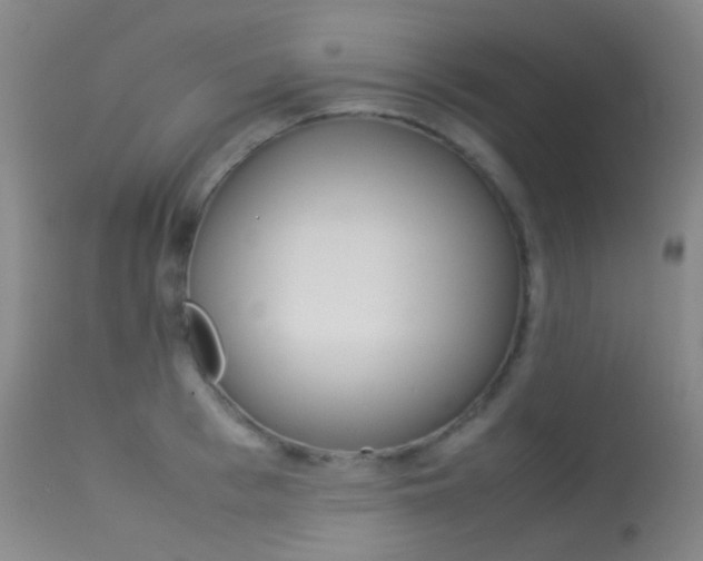 X0000113540993200909181019