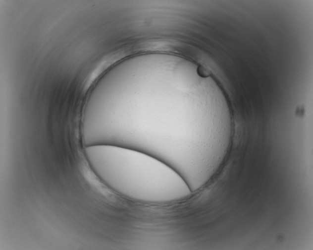 X0000113540994200909181019