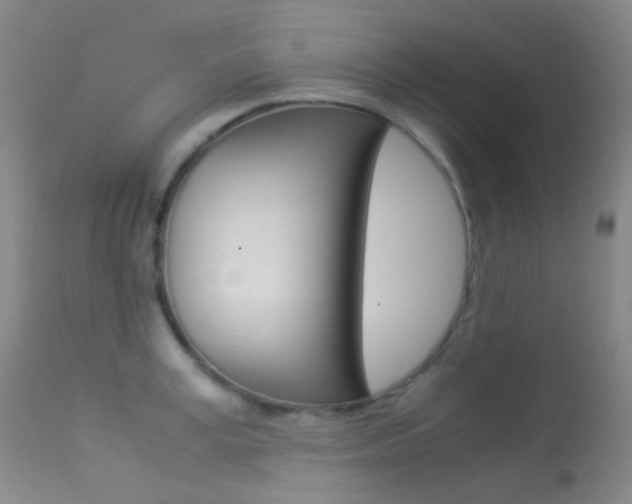 X0000113540995200909181019