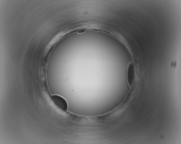 X0000113540997200909181019