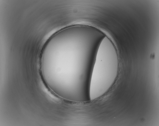 X0000113540999200909181019