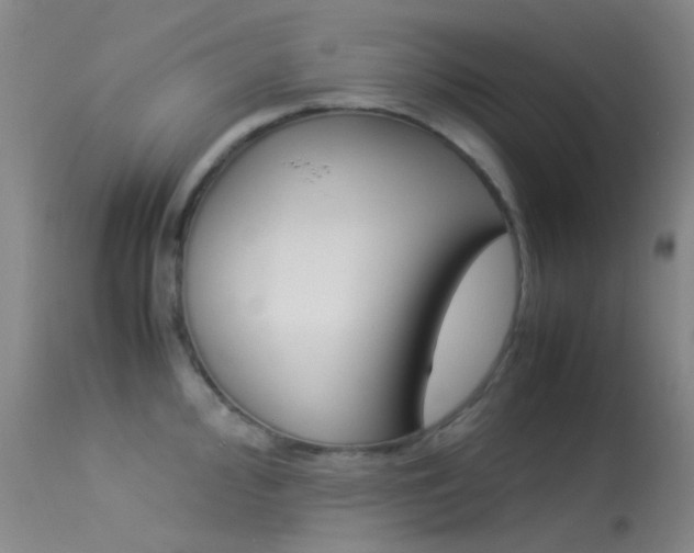 X0000113541000200909181019
