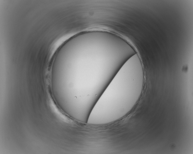 X0000113541003200909181019