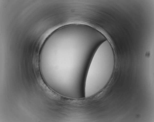 X0000113541004200909181019