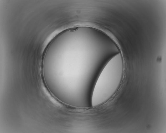 X0000113541005200909181019