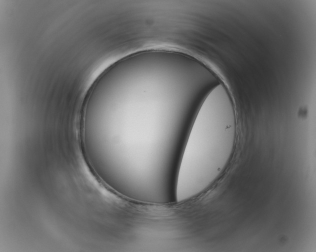 X0000113541007200909181019