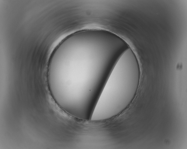 X0000113541008200909181019