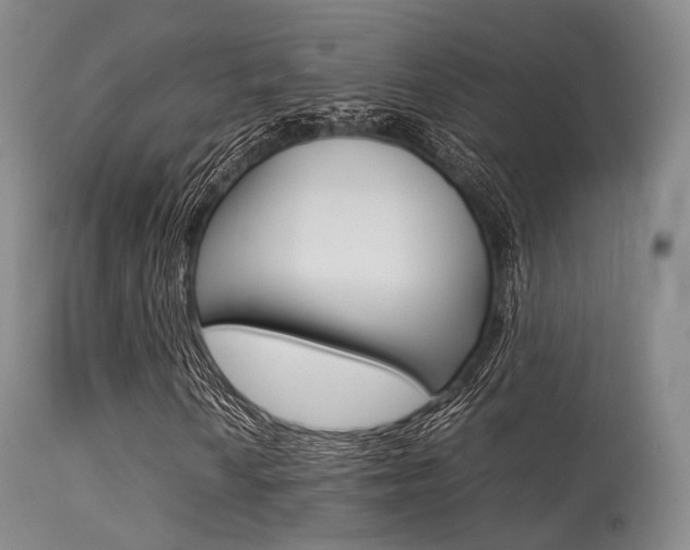 X0000113541010200909181018