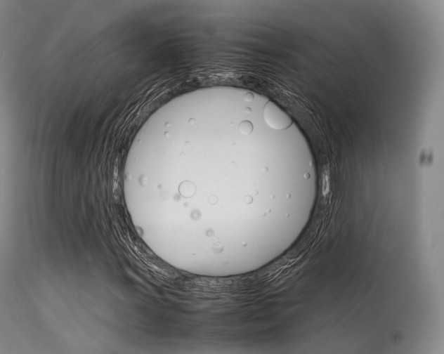 X0000113541011200909181018