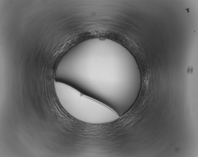 X0000113541012200909181018