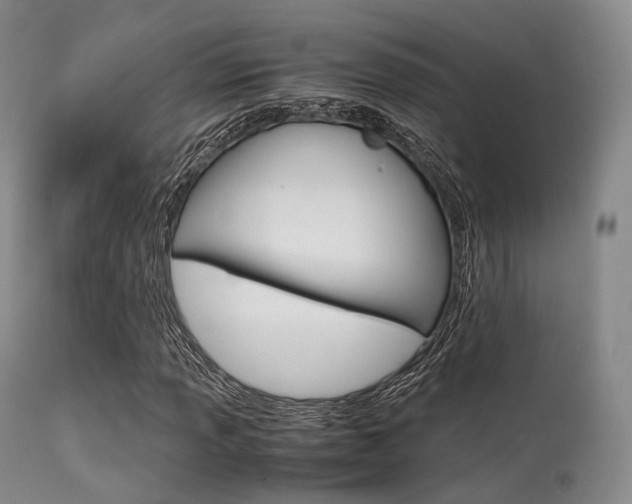 X0000113541013200909181018