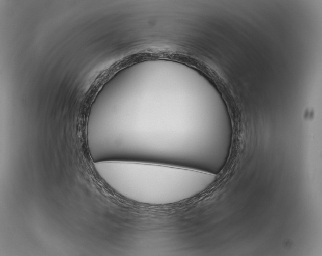 X0000113541016200909181018