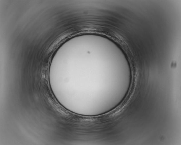 X0000113541017200909181018