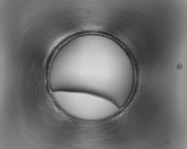 X0000113541022200909181018