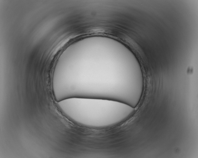 X0000113541023200909181018