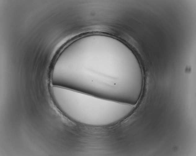 X0000113541024200909181018