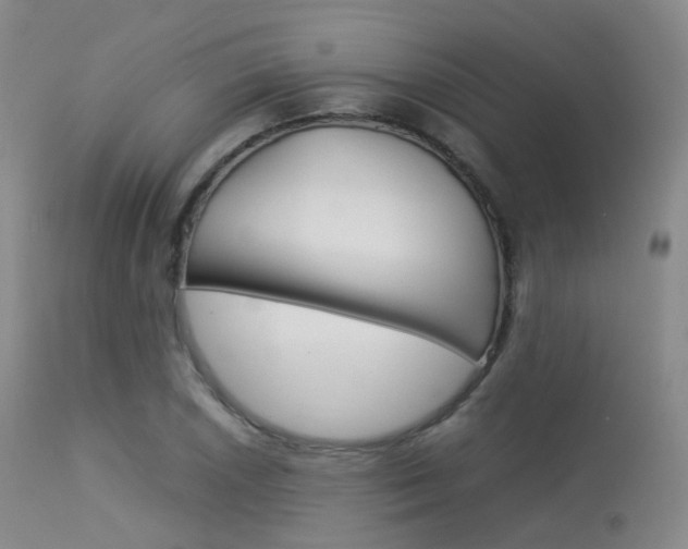 X0000113541026200909181018