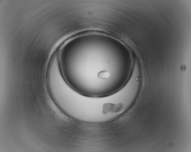 X0000113541028200909181019