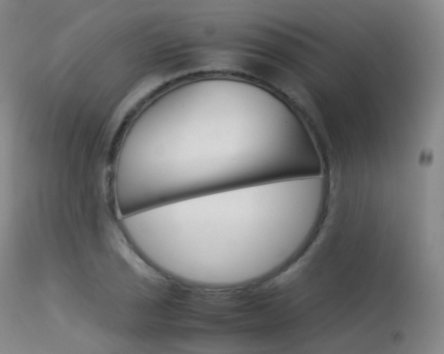 X0000113541029200909181019