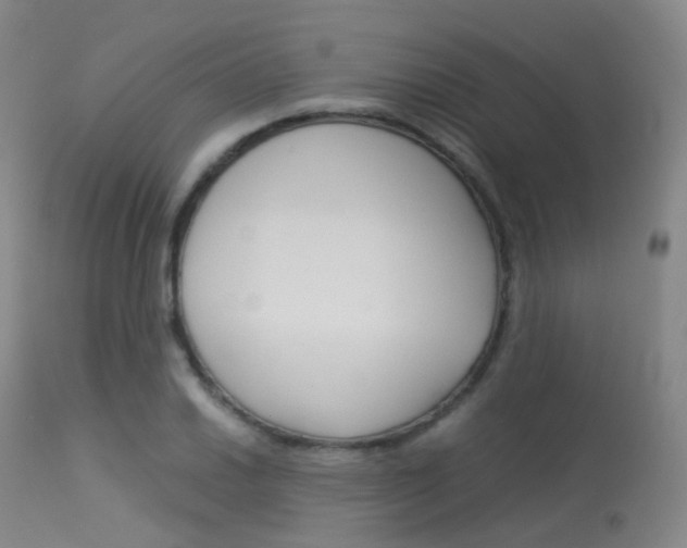 X0000113541030200909181019