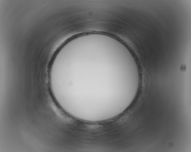 X0000113541031200909181019